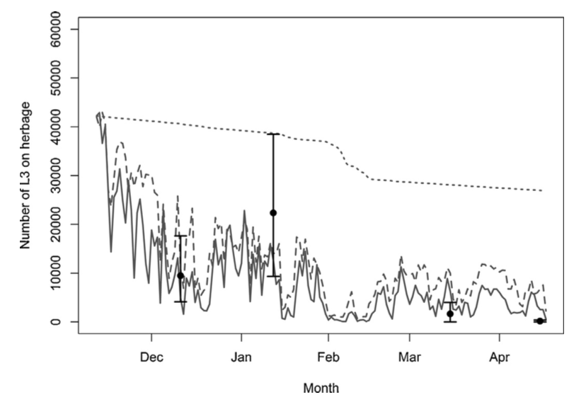 Roundworm Modelling